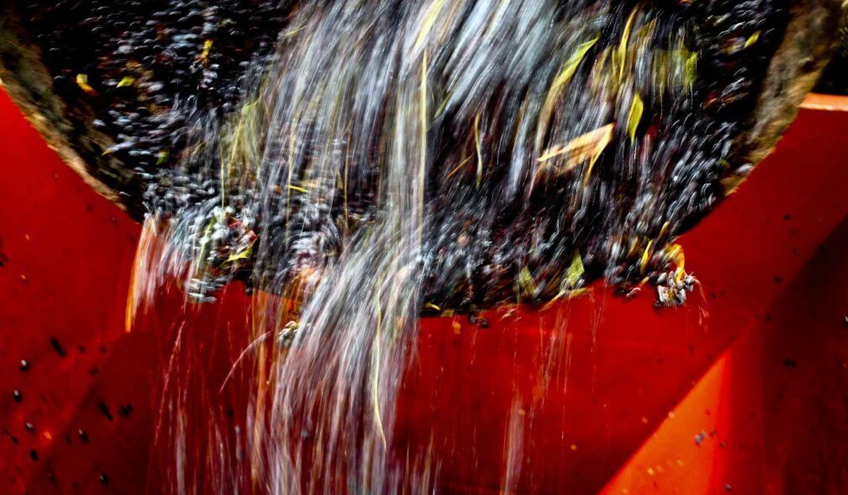 ASAE apreende 39 mil litros de vinho no Norte e no Centro de Portugal