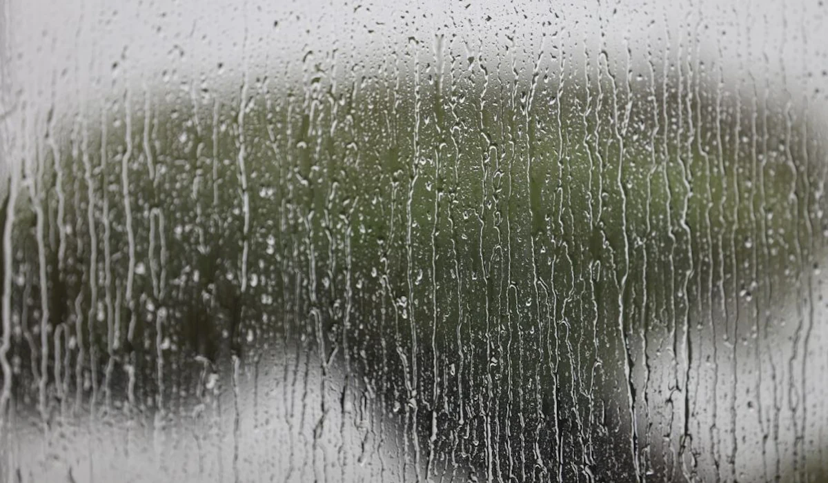 Continente sob aviso amarelo pela chuva, Madeira a laranja por ondas e vento