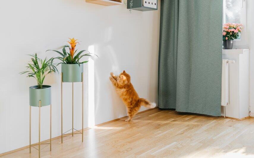 Decoração VinylClean da CIN: paredes sempre impecáveis