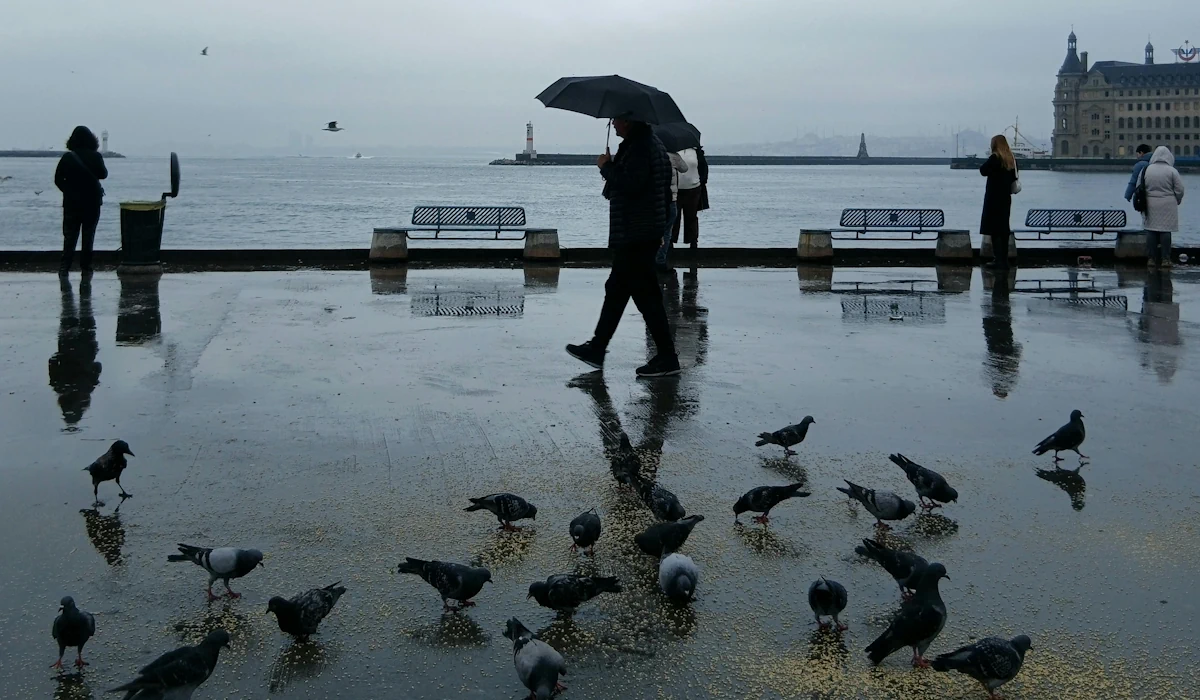 Mudança brusca: Frente fria traz chuva e queda das temperaturas a Portugal
