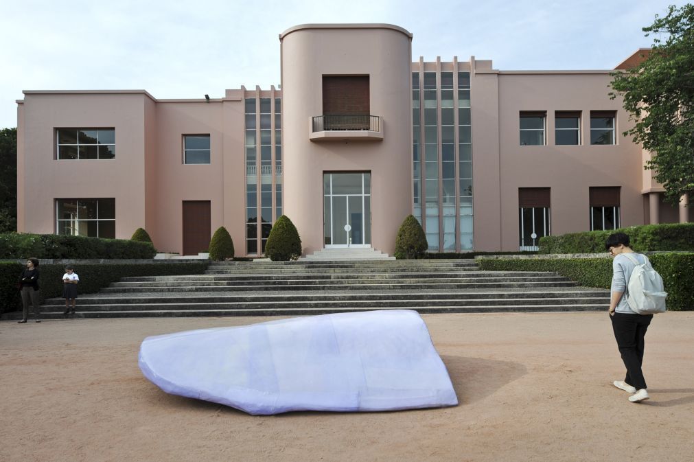Exposição em Serralves desvenda pela primeira vez no Porto coleção Duerckheim