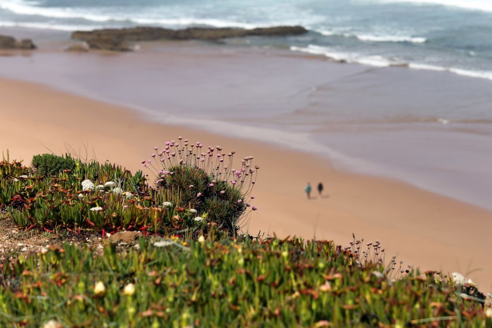 Portugal com 73 praias “Zero Poluição” este ano, com concelho de Grândola a liderar