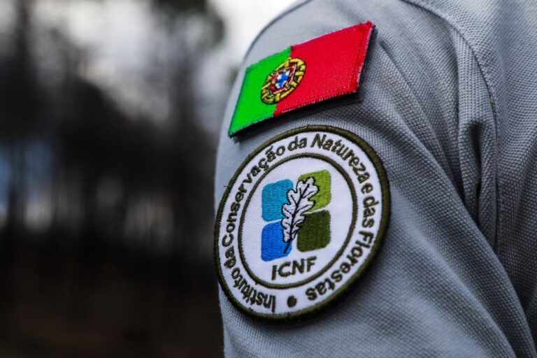 Governo restrutura APA e ICNF e simplifica processos de licenciamento