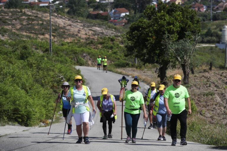 Cerca de 300 operacionais na operação da Proteção Civil para peregrinação de 12 e 13 de maio a Fátima