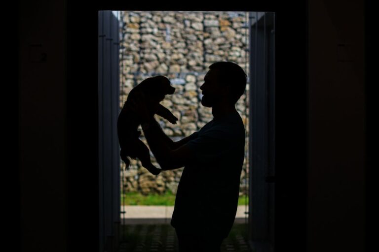 Médicos veterinários lançam petição pela alteração do IVA nos serviços de animais de companhia