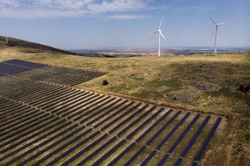 EDP abre parque solar no Japão para produzir 48 de GWh por ano para a Amazon