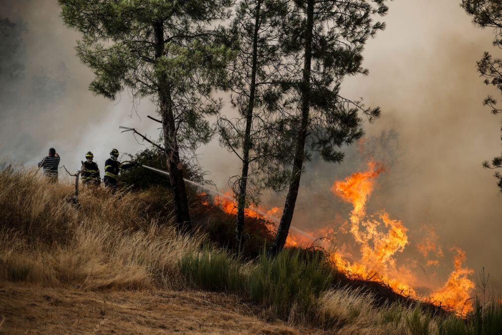 Incêndios: Alentejo Litoral conta com 216 operacionais na fase mais crítica