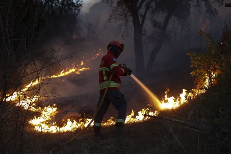 Região de Coimbra com dispositivo de combate a Incêndios de 775 operacionais e 178 veículos