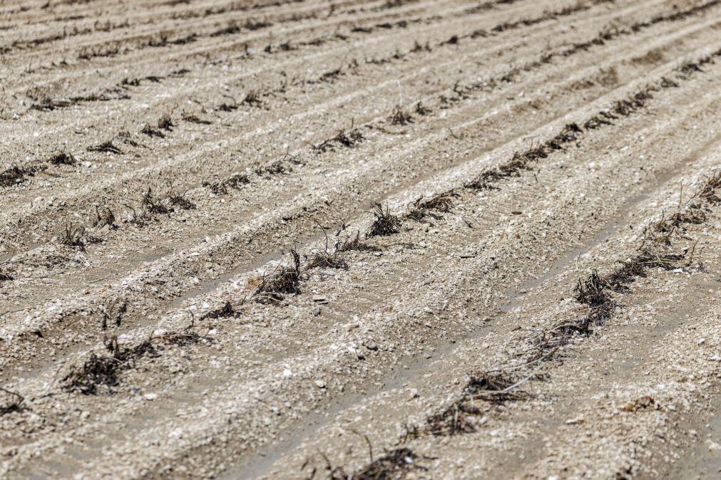 Governo da província angolana do Namibe vai ao Alentejo trocar experiências sobre seca