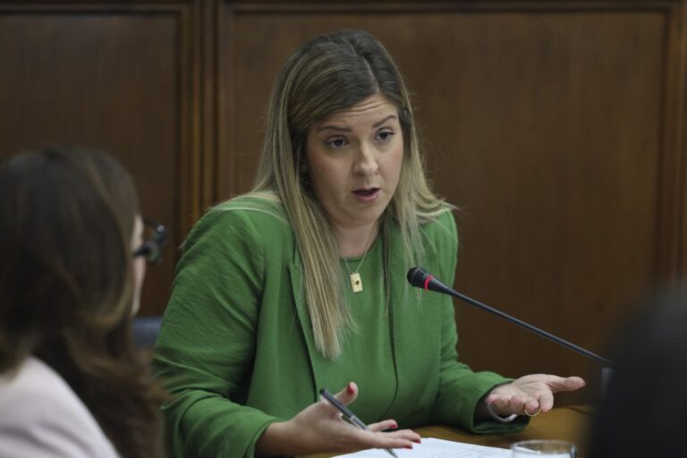 Parlamento aprova audição da ministra da Cultura sobre modelo de apoio às artes