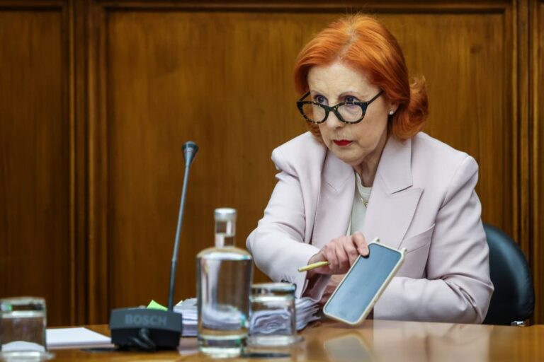 Governo quer reduzir para metade dependência energética em oito anos - ministra
