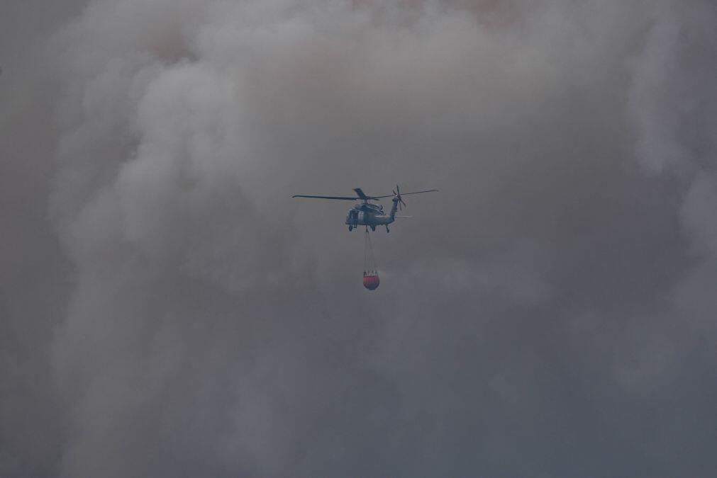 Investigadores esperam ano “particularmente severo” para incêndios florestais