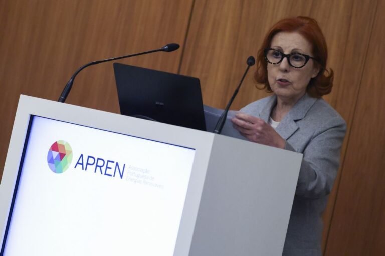 Governo quer reduzir para metade dependência dos combustíveis em 8 a 10 anos  - ministra