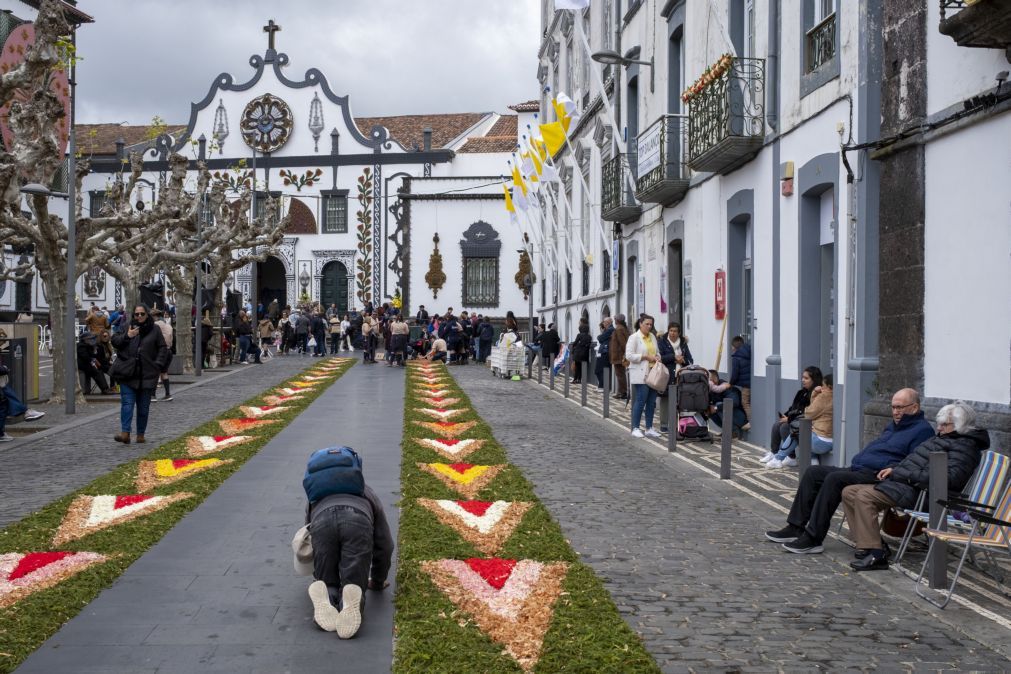 Festival de flores e cor cobre ruas de Ponta Delgada na passagem do Santo Cristo