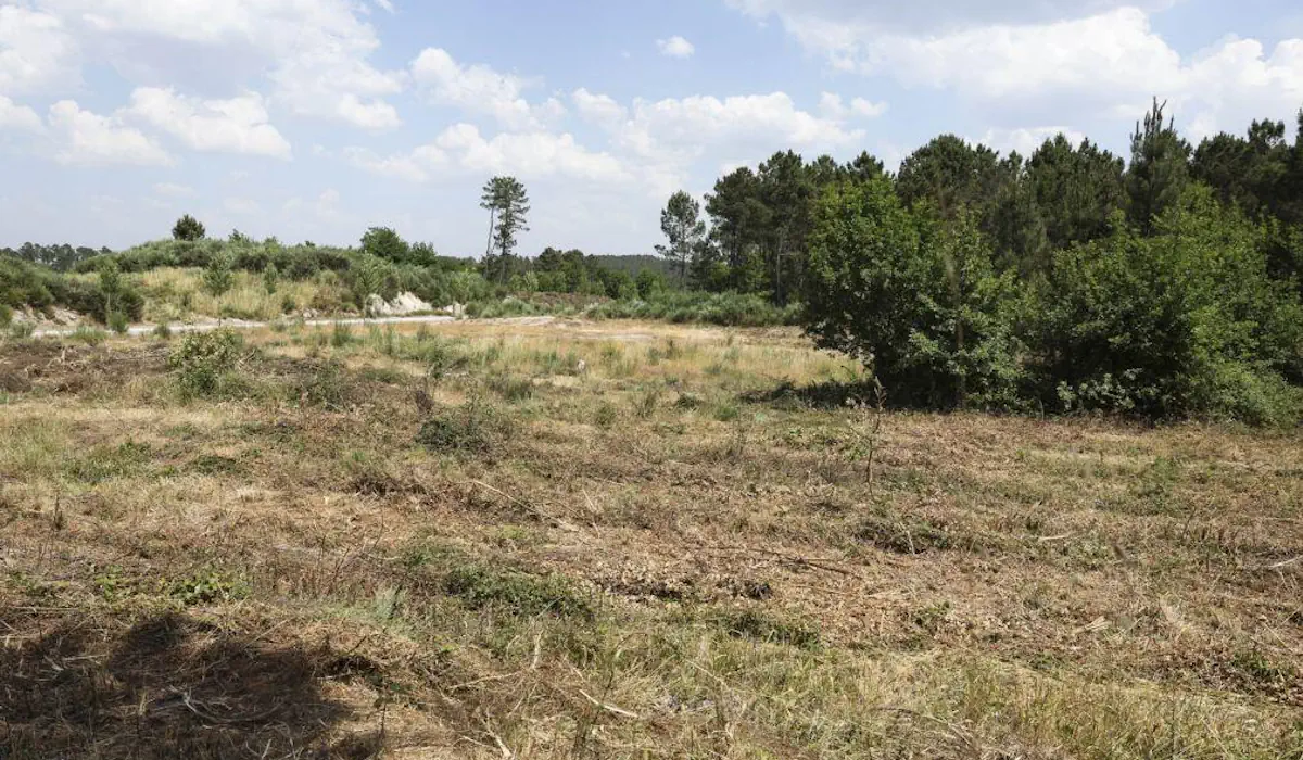 Portugal atinge o limite: recursos esgotados em pouco mais de quatro meses