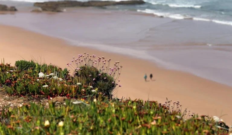 Portugal tem 73 praias com água de qualidade 'Zero Poluição' em 2026