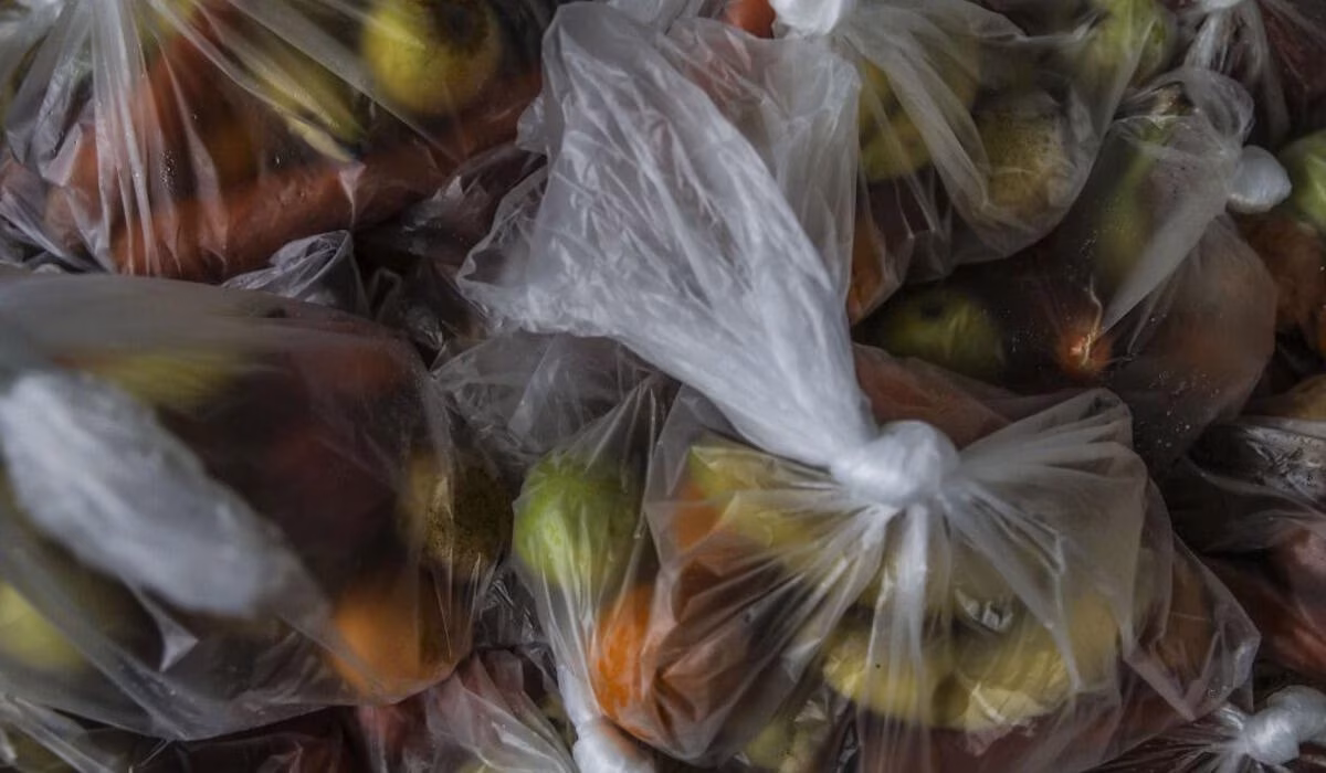 Famílias portuguesas deitam mil toneladas de comida para o lixo todos os dias