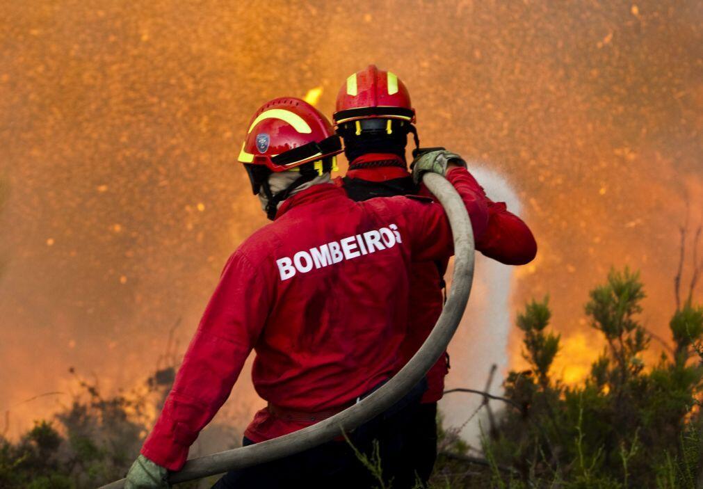 Incêndio em Odemira combatido por mais de 140 operacionais