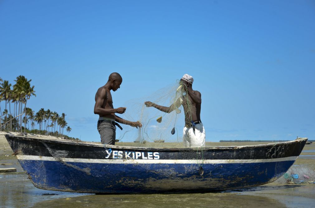 Pesca e aquacultura estagnou em Moçambique no primeiro trimestre