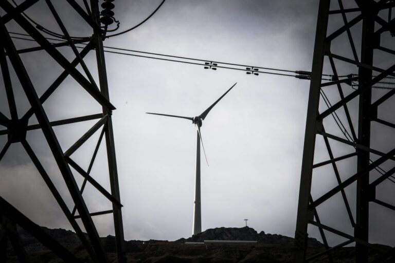 Energia eólica assegura 25,4% do consumo em 2025 mas metas exigem resposta célere - estudo