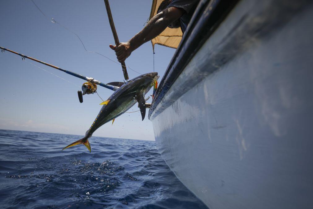 Quinze países adotam declaração para reforçar combate à pesca ilegal