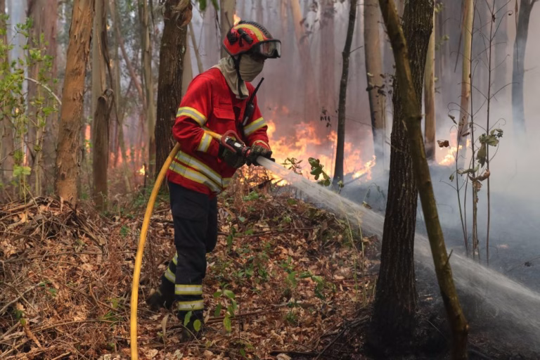 Fogo em Loulé dominado às 04:00