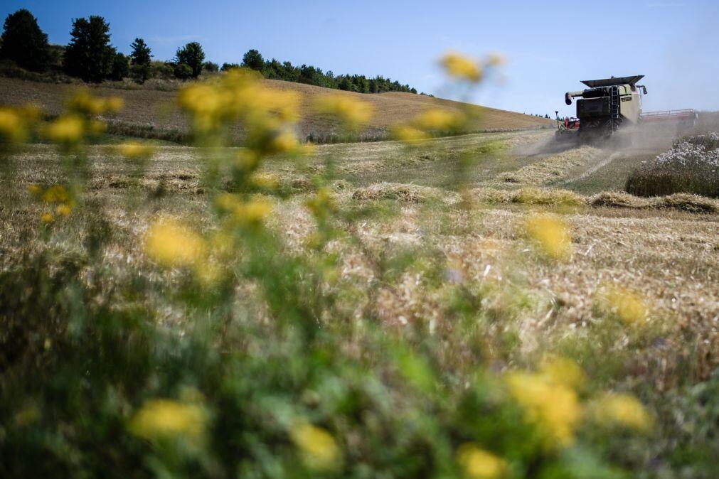 Preços dos adubos afetam agricultores mas Bruxelas afasta cenário de escassez
