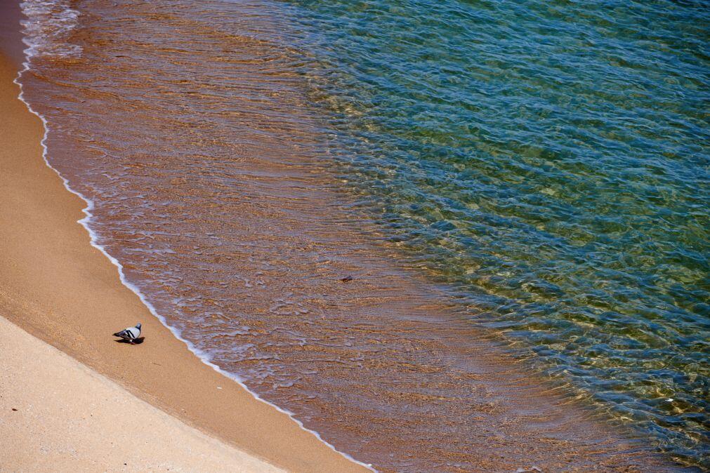Ambientalistas questionam continuação de obras em praia de Cabo Verde