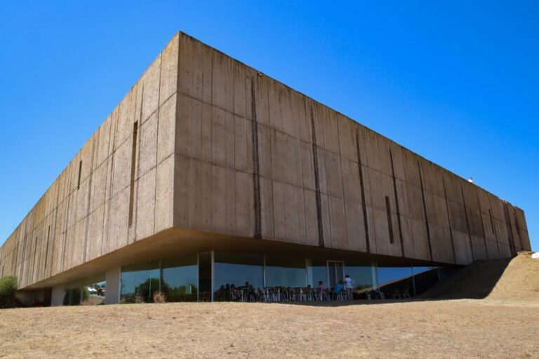 Museu do Côa acolhe exposições que refletem sobre contemporaneidade e arte rupestre