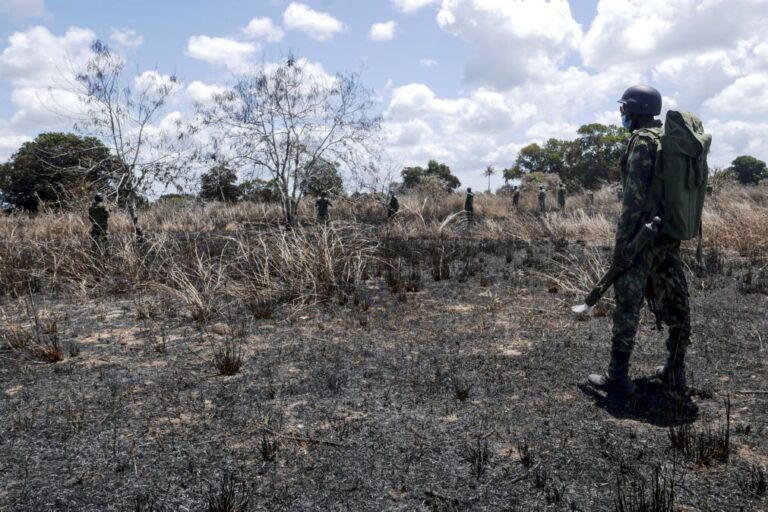Moçambique/Ataques: Supostos terroristas matam três civis em Cabo Delgado