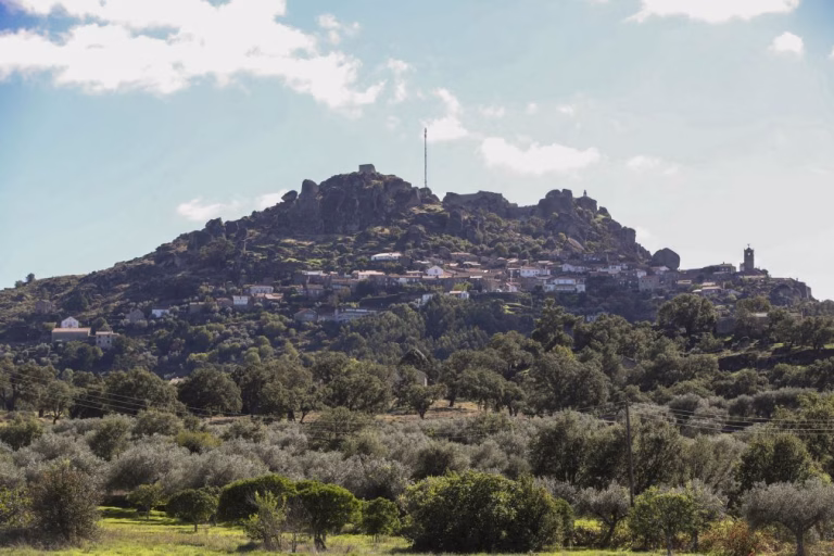Concelhos de Tavira e Idanha-a-Nova em risco muito elevado de incêndio
