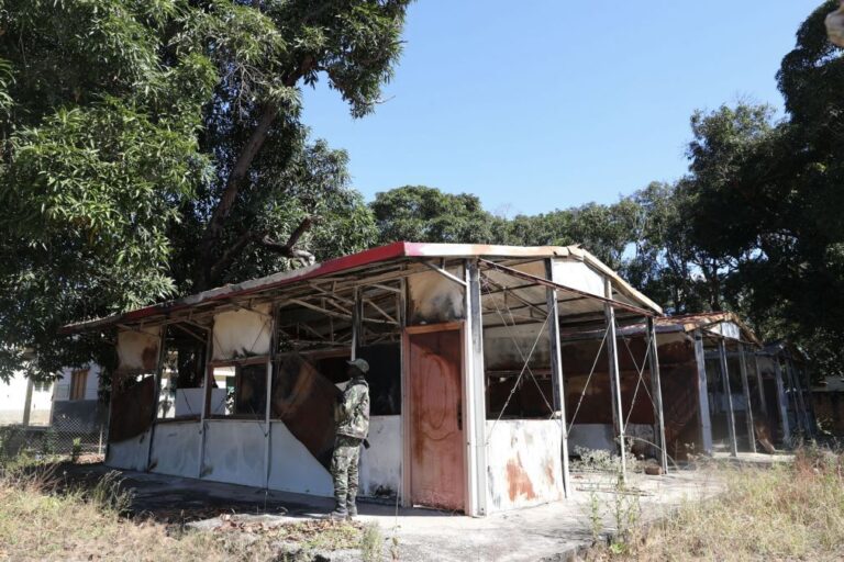 Movimento de supostos terroristas gera pânico na província moçambicana de Cabo Delgado