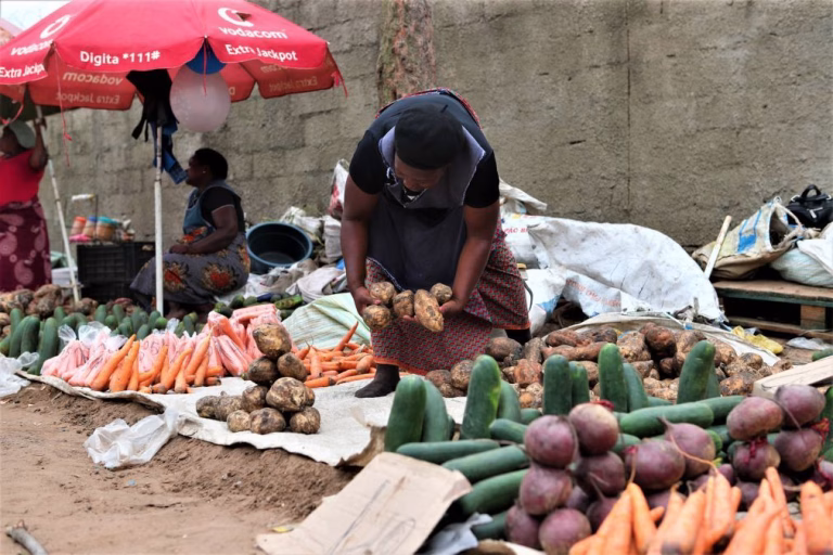 Subida de preços em Moçambique desacelera para 0,22% em março - INE