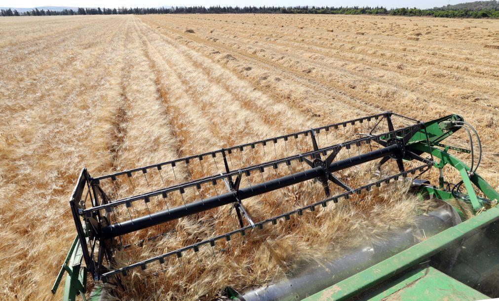Preço médio da produção agrícola na UE recua 2,9% no 1.º trimestre