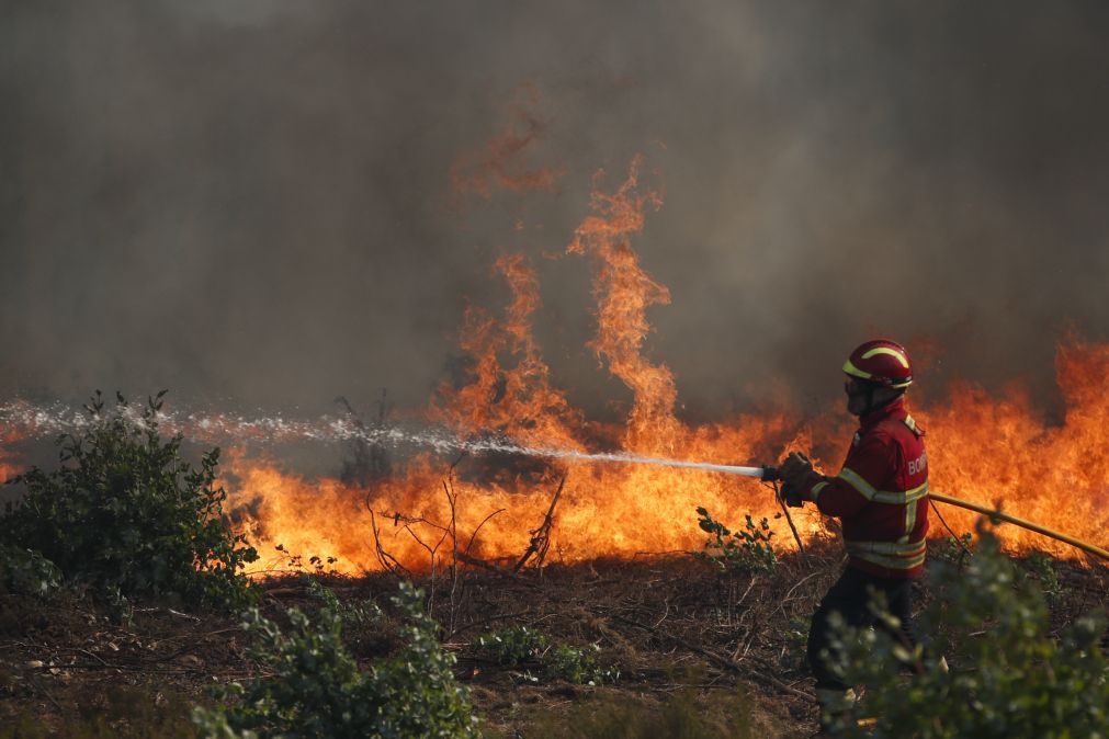 Vinte e cinco concelhos de cinco distritos em perigo máximo de incêndio
