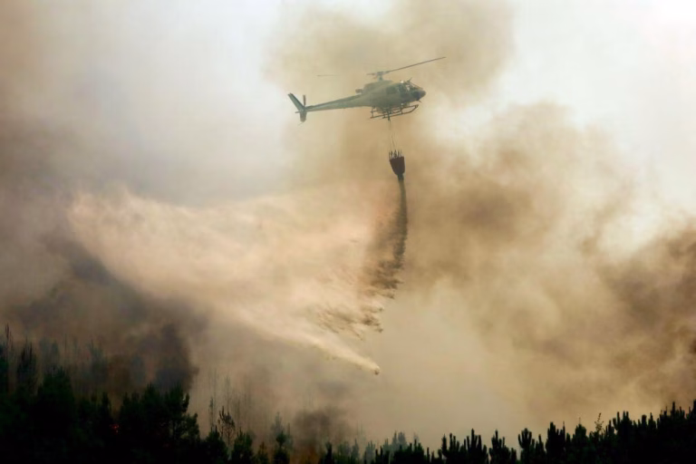 CCDR Alentejo apoia 88 agricultores afetados por fogos do último verão