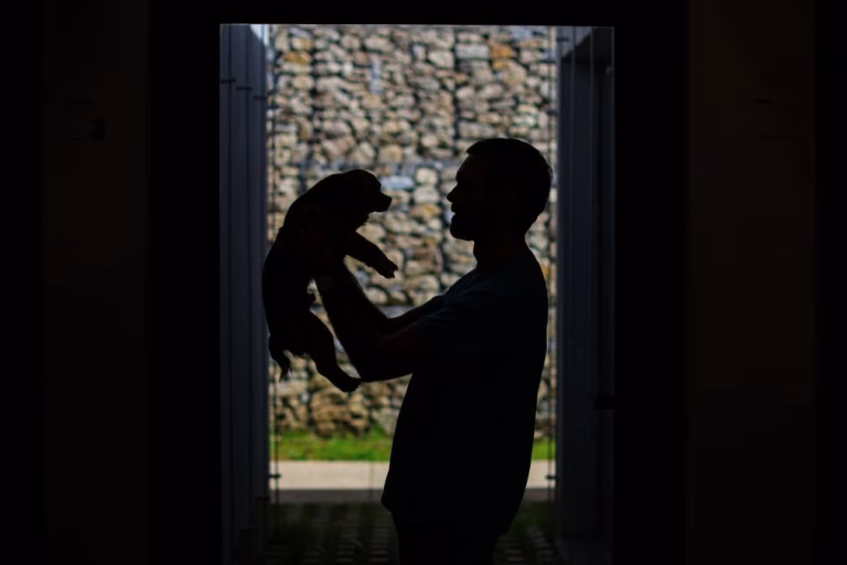 Médicos veterinários lançam petição pela alteração do IVA nos serviços de animais de companhia