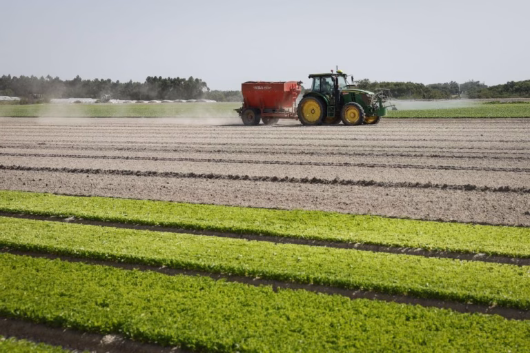UE/Mercosul: Governo português fala em oportunidade mas produtores pedem cautela a Bruxelas