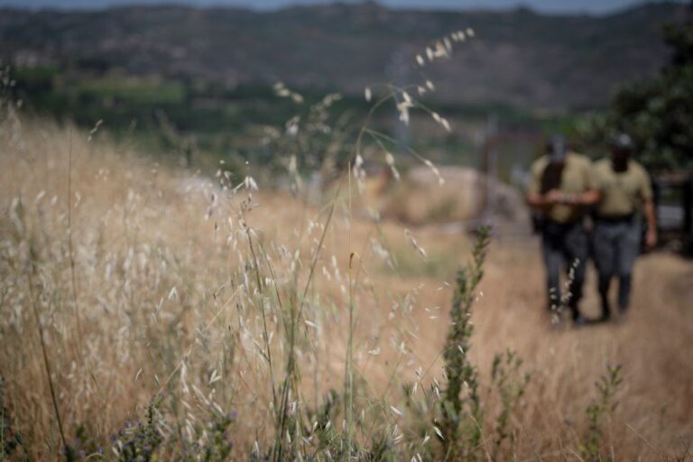 GNR reforça patrulhamento e vigilância para prevenir incêndios rurais