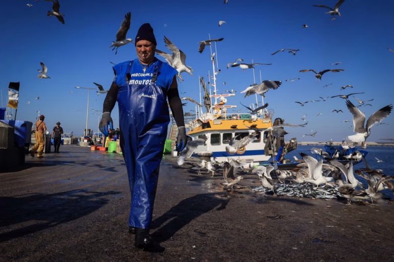 Mau tempo: Pescadores falam em 