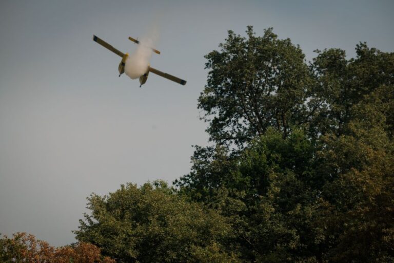 Incêndio rural ativo no distrito de Beja mobiliza meios aéreos