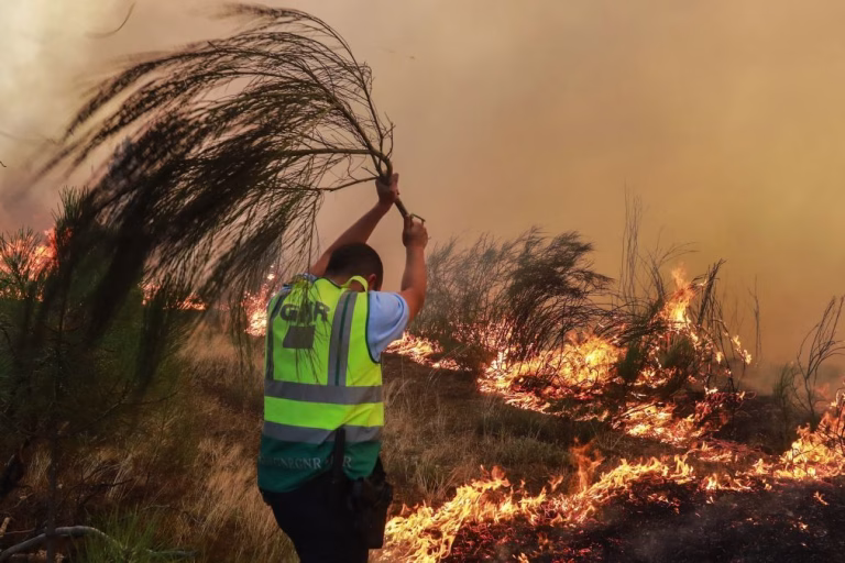 Ocorrências de incêndios rurais aumentam mais de 30% em 2025 - GNR