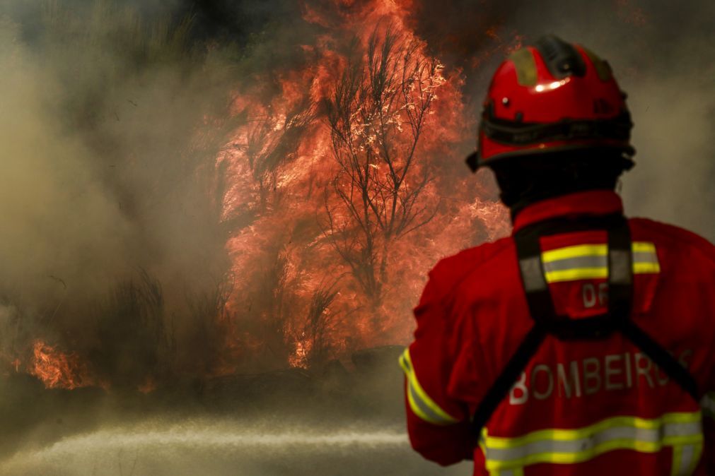 Troço da EN2 cortado ao trânsito devido a incêndio no concelho de Aljustrel