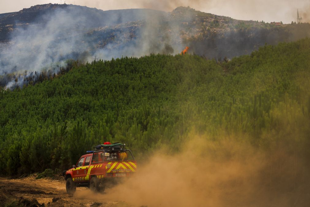 Dezassete concelhos de oito distritos em perigo máximo de incêndios