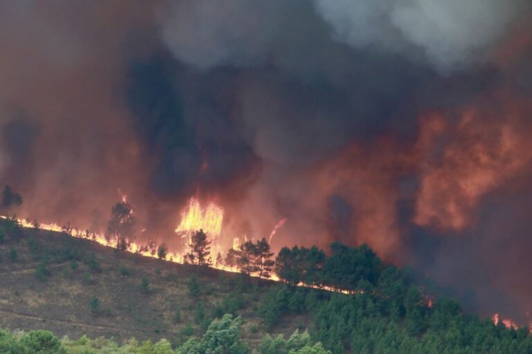 Vinte e dois concelhos de cinco distritos em perigo muito elevado de incêndio