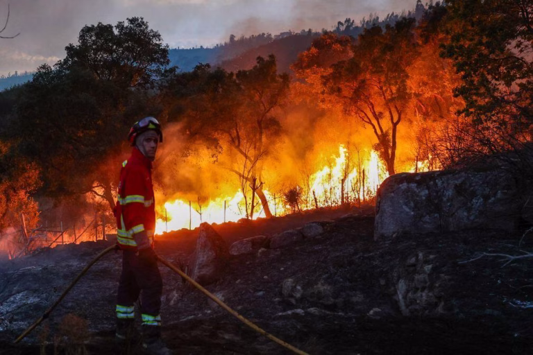 Região de Coimbra denuncia atrasos nos pagamentos de apoios dos incêndios de 2025