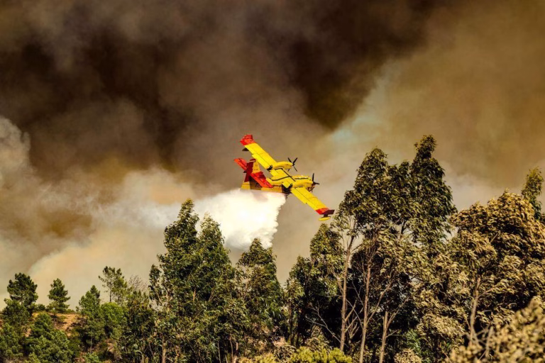 Quinze concelhos de seis distritos em perigo máximo de incêndio