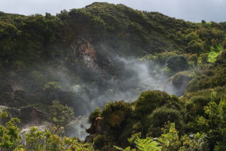 Universidade dos Açores lidera projeto para monitorizar remotamente emissões de CO2 vulcânico