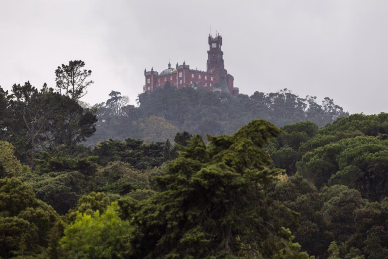 Sintra encerra sábado acessos ao perímetro florestal e monumentos na serra