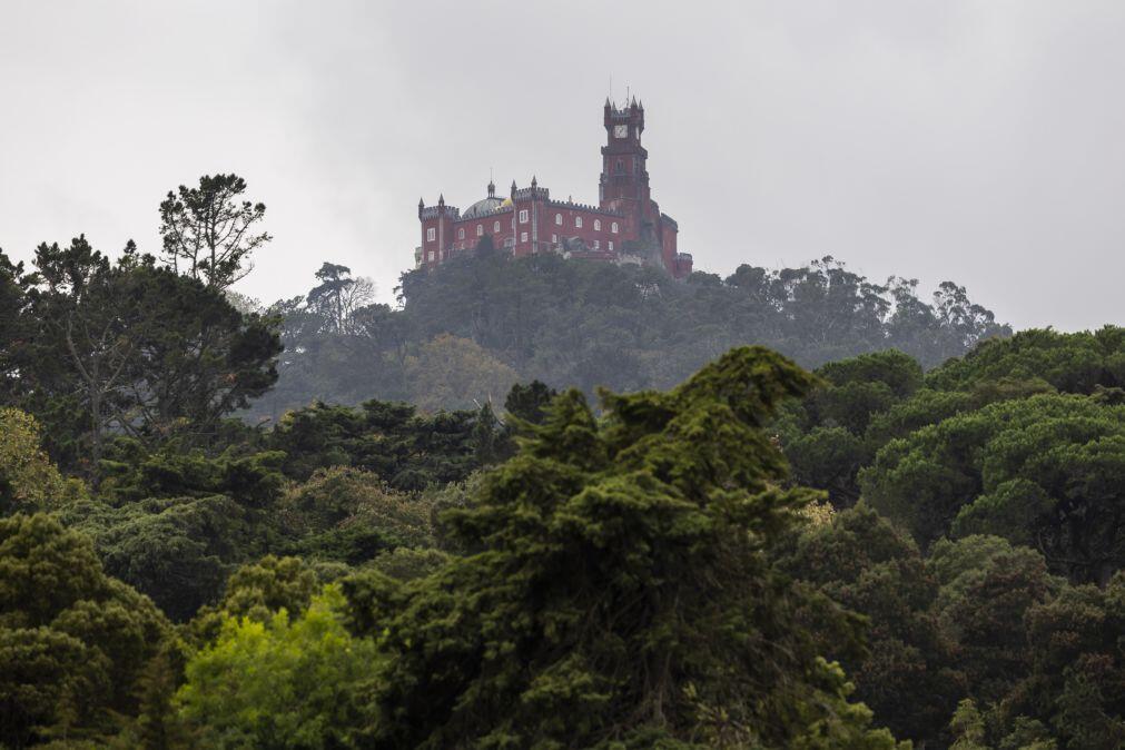 Sintra encerra sábado acessos ao perímetro florestal e monumentos na serra